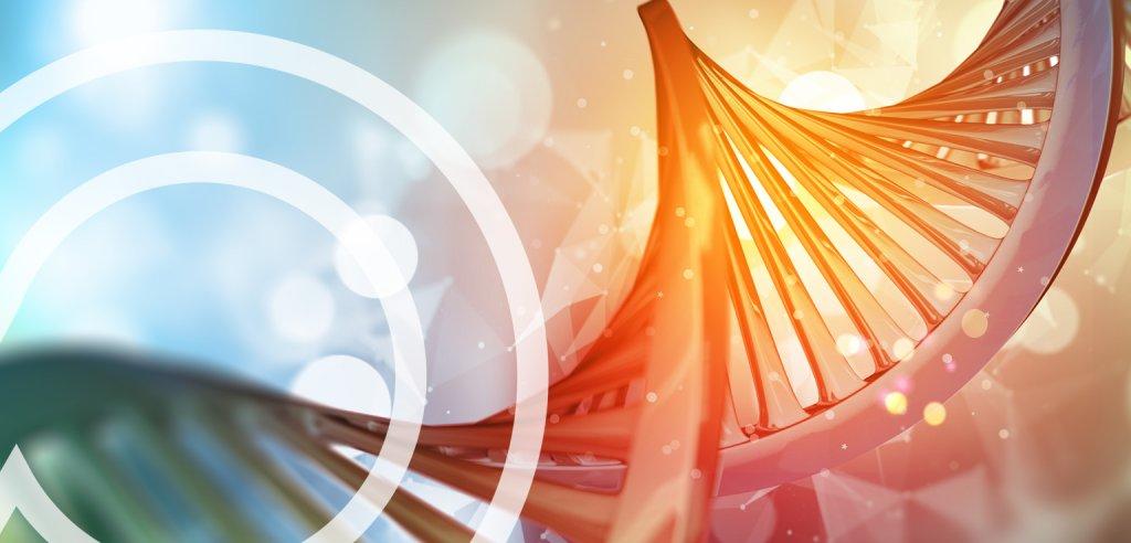 Sliding Descriptive Image