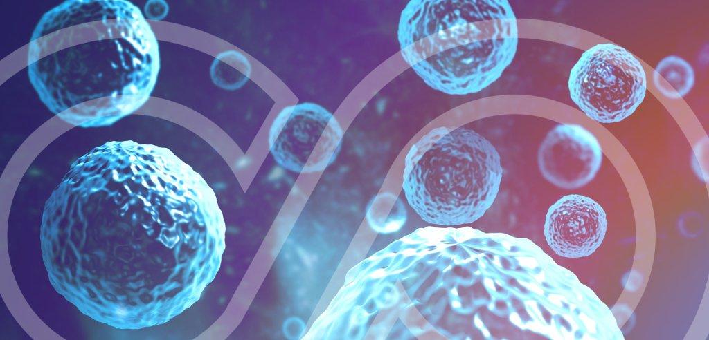 Sliding Descriptive Image