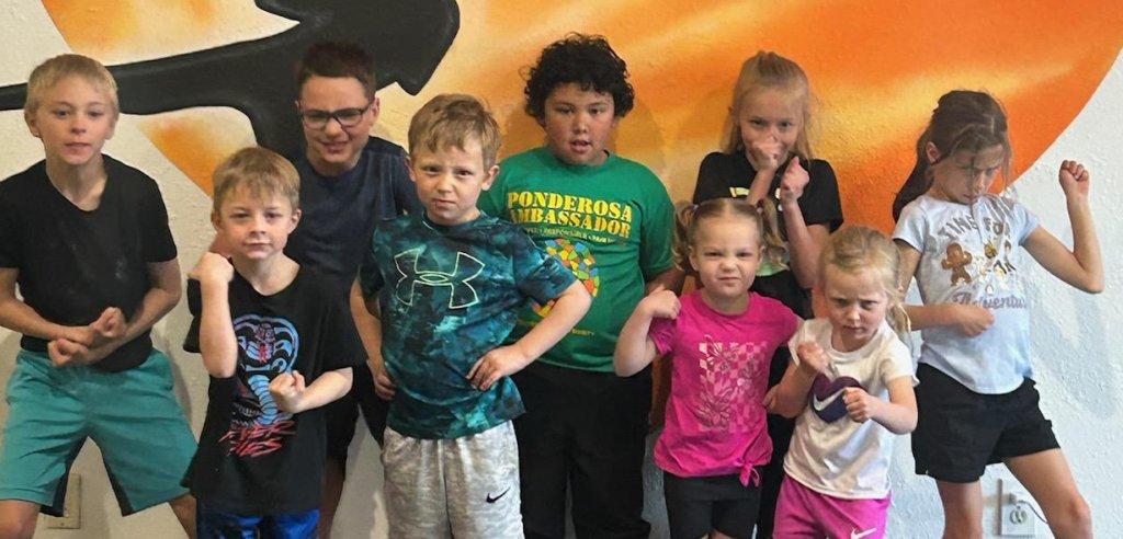 Sliding Descriptive Image