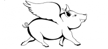 The Flying Pig Dance Studio