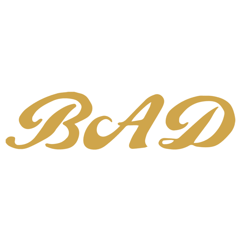 bg Service Image