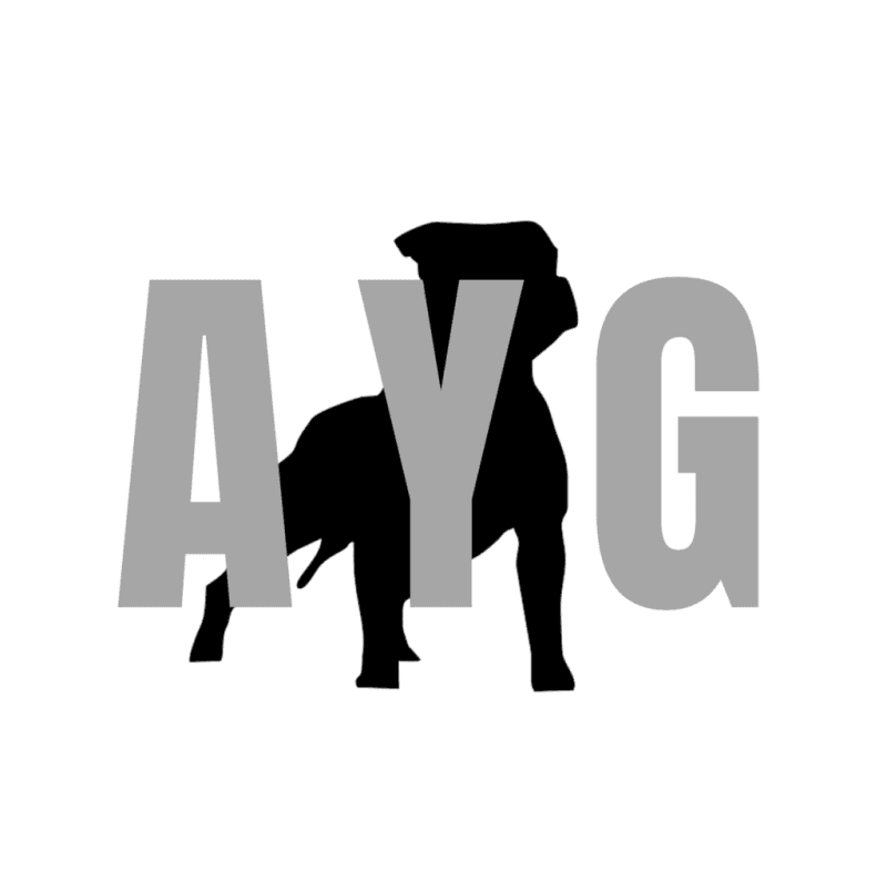 bg Service Image
