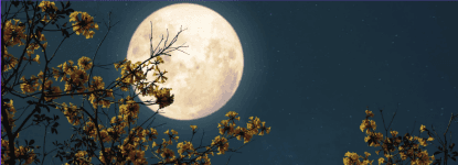 bg Service Image