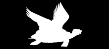 Location Logo