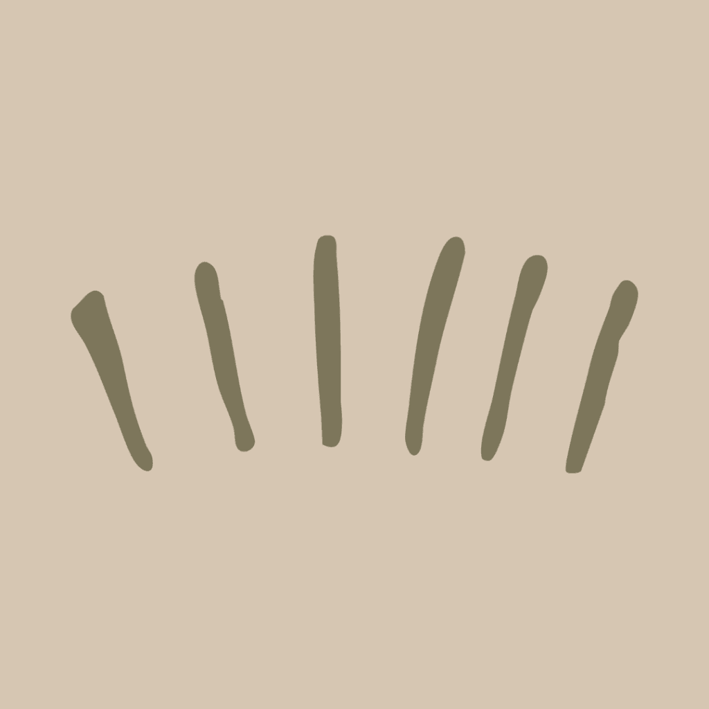 bg Service Image