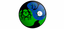 Moonwillow Tai Chi & Wellness
