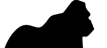 Location Logo