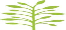 Location Logo